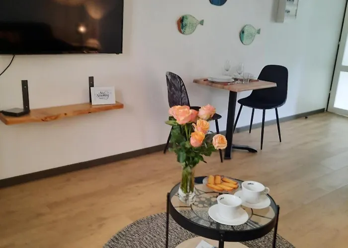 Studio Cosy Et Moderne